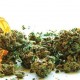 Florida on Medical Marijuana