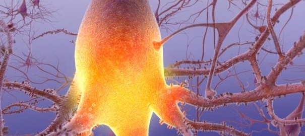 Alzheimers Disease