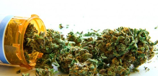 medical cannabis - Costa Rica